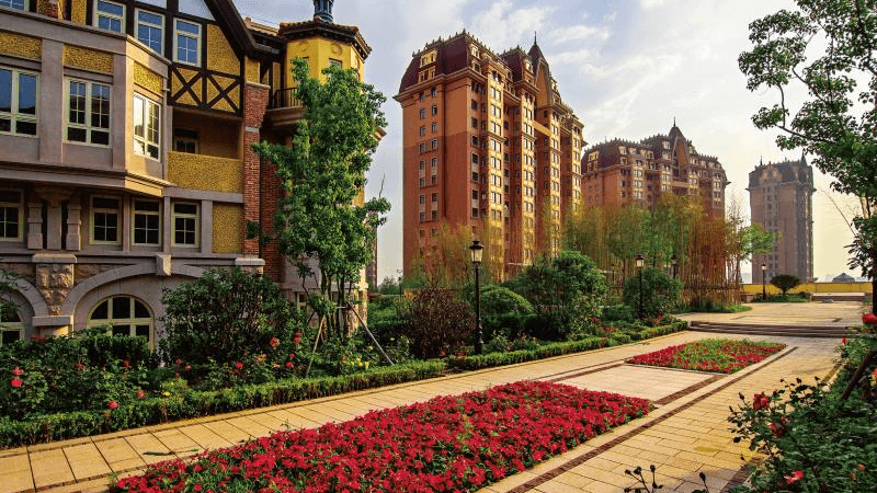 WechatIMG383.jpg 圖片