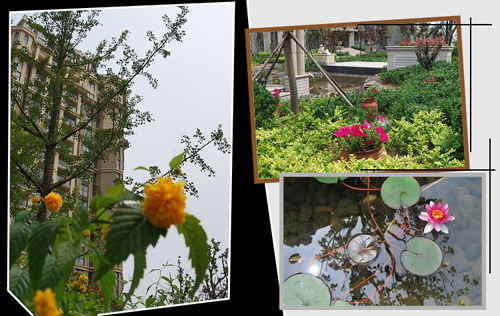 “青島印象·金沙灘”橋隧激情穿越之旅7月16日啟動(dòng)